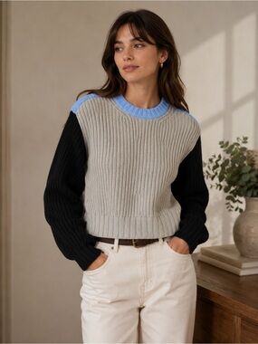 POPSUGAR Beige Blue Black Colorblock Chunky Knit Sweater XL Cozy Casual Cropped